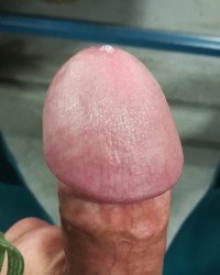 My horny circumcised cock photo