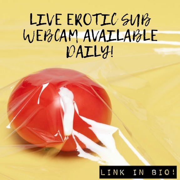 Live Cam!