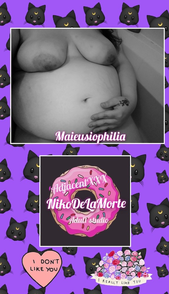 Niko's Having A Kitten🐈