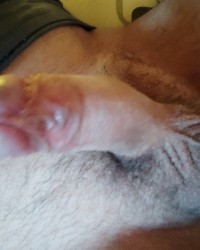 Cock Photos 2 photo