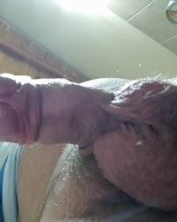 Cock photos photo