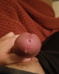 New Member Test Album photo