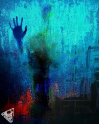 New Member Test Album photo