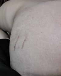 Sexy Little Elfy photo