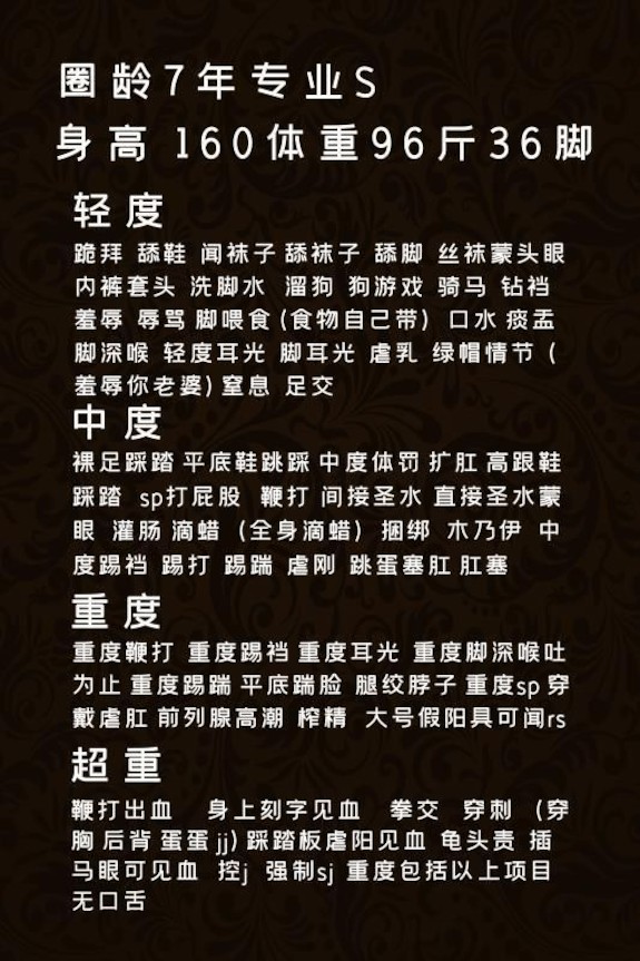 个人项目介绍