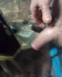 Cock needs tail photo