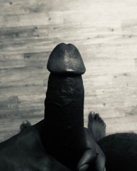 Horny goat 👹🐐 😉 photo