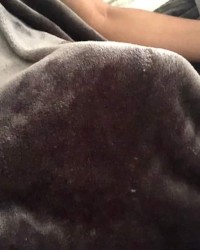 My dick photo