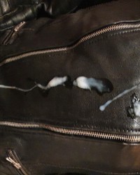 Leather jacket cum photo