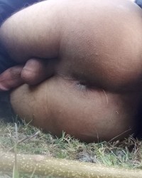 Solo Gay collection photo