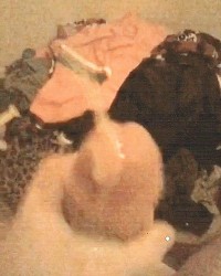 Cum shots photo