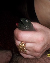 DAY OFF SHIRLEY photo