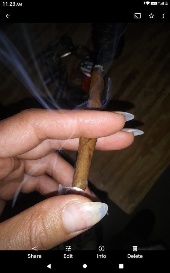 Wolf blunt