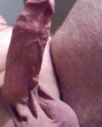 Some dick pics photo