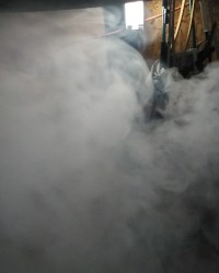 Posing and erection photo