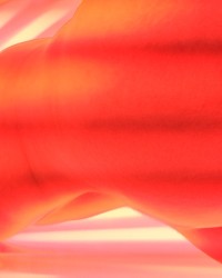 Moms can be sexy too.. photo