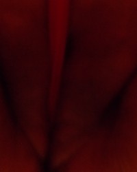 Kinky Taped Tits photo