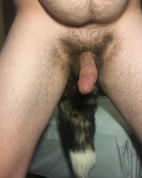 Got a Tailplug wanting to be fucked photo