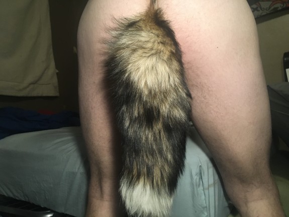 Got a Tailplug wanting to be fucked
