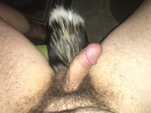 Got a Tailplug wanting to be fucked