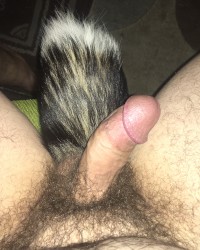 Got a Tailplug wanting to be fucked photo