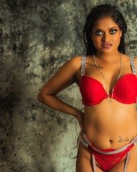 Red Lace Lingerie photo