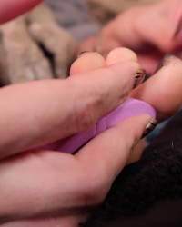 Nail Painting (Gray) photo