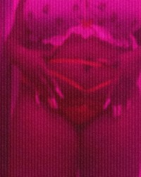 Talk To Me Nice 🥰 photo