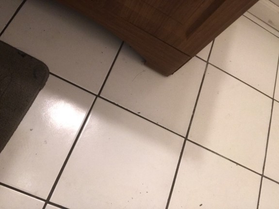 Mr big dick