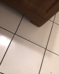 Mr big dick photo