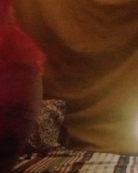 Tightblonde photo