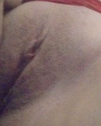 Gringa fogosa photo