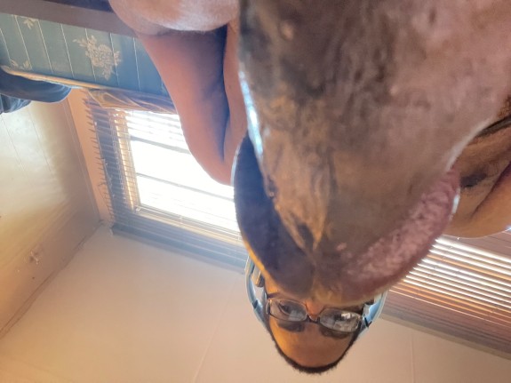 Big dick