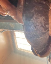 Big dick photo