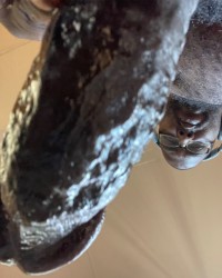 Big dick photo