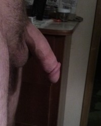 Husbands cock wife's beautiful pussy  photo