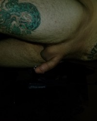 Husbands cock wife's beautiful pussy  photo