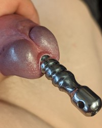 plugs photo