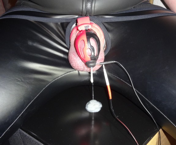 Estim electro cum milking
