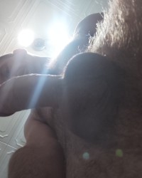 Мой член photo