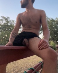Cock-a-doodle photo