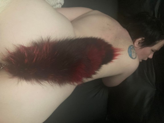 PetPlay Fun