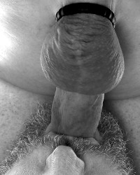 B & W Selfsucking photo