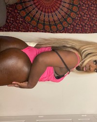 Pink Sissy photo