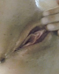 Cherry Pie Puss GIF photo