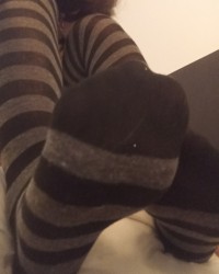 ^•ᆺ•^ ~meow~ photo