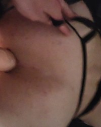 Gecko photo