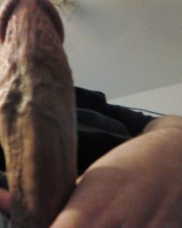 My Cock photo