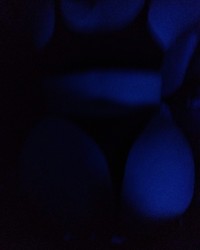 Mi Primer Album photo