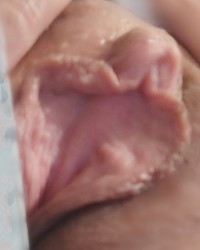 Big pink pussy photo